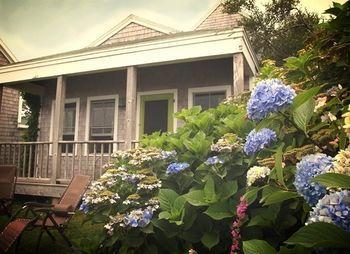 Sea Breeze Inn نيو شورهام المظهر الخارجي الصورة